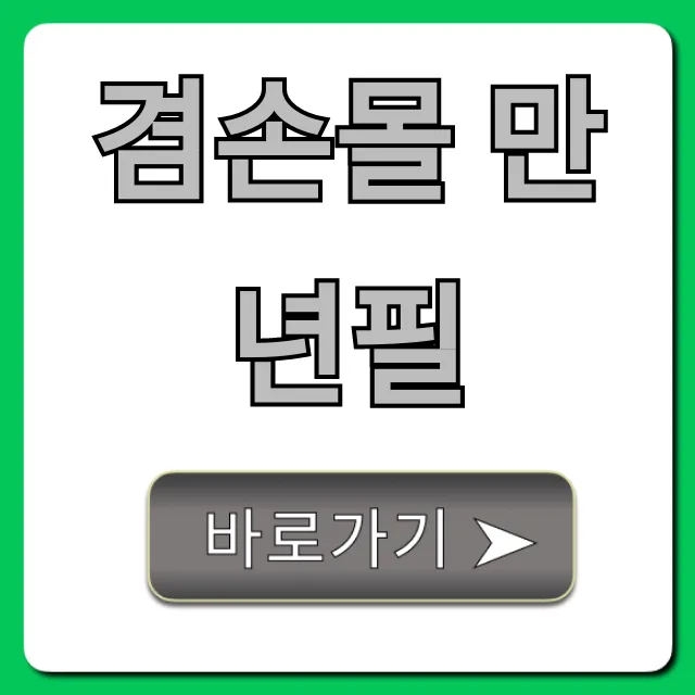 겸손몰 만년필 초보자 추천 후기 총정리