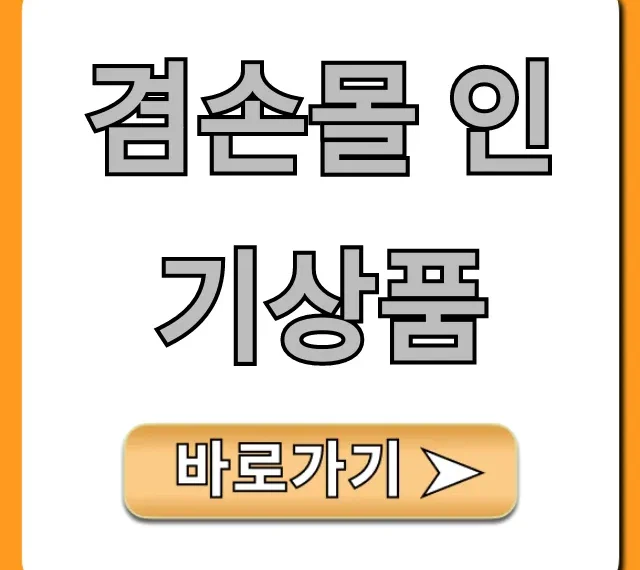 겸손몰 인기상품 완벽 가이드: TOP5 추천템 공개