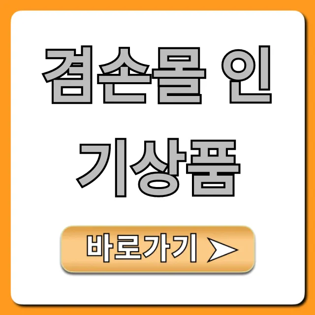 겸손몰 인기상품 완벽 가이드: TOP5 추천템 공개