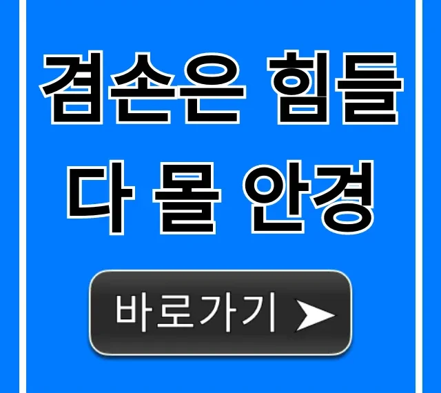 겸손은 힘들다 몰 안경 솔직 후기 & 가격 총정리