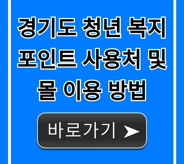 경기도 청년 복지포인트 사용처 및 몰 이용 방법 총정리