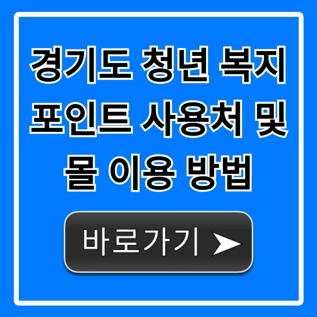 경기도 청년 복지포인트 사용처 및 몰 이용 방법 총정리