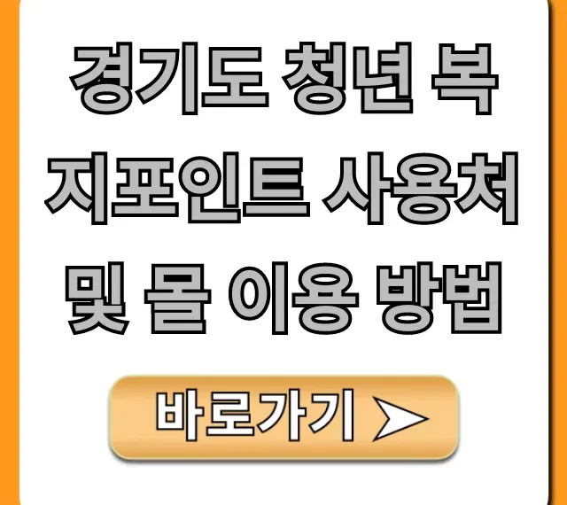 경기도 청년 복지포인트 사용처 및 몰 이용 방법 총정리!
