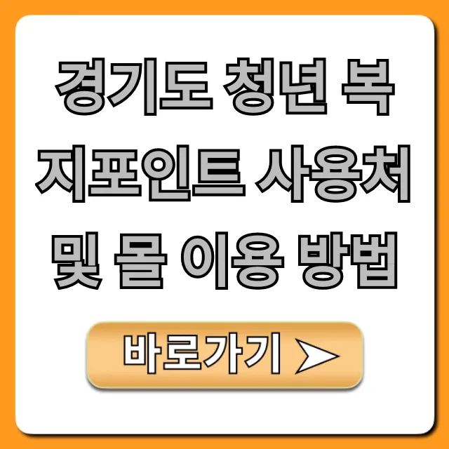 경기도 청년 복지포인트 사용처 및 몰 이용 방법 총정리!