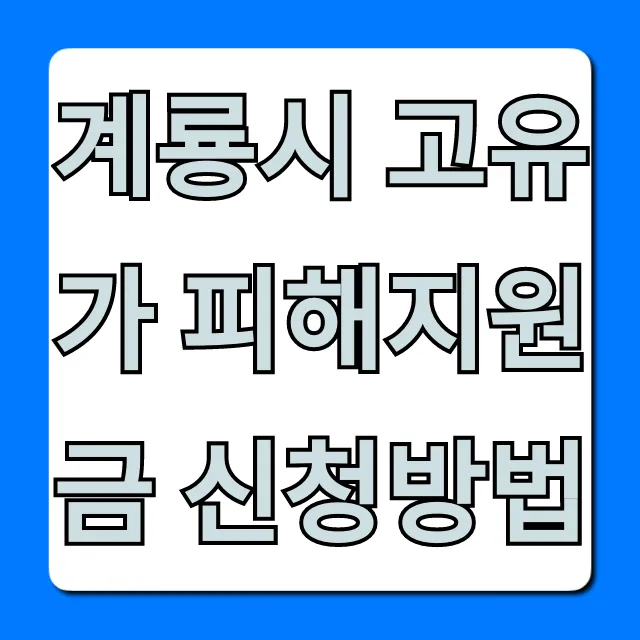 계룡시 고유가 피해지원금 신청방법 완벽 가이드