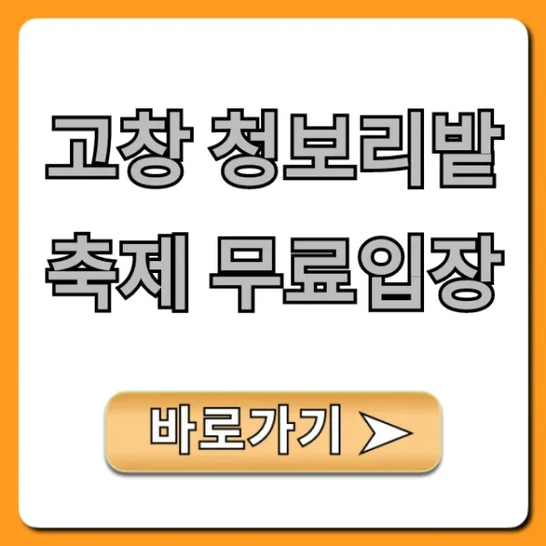 고창 청보리밭 축제 무료입장 기간 꿀팁 총정리