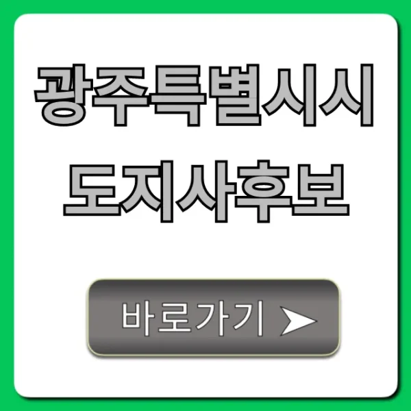 광주특별시시도지사후보 공약 및 프로필 총정리