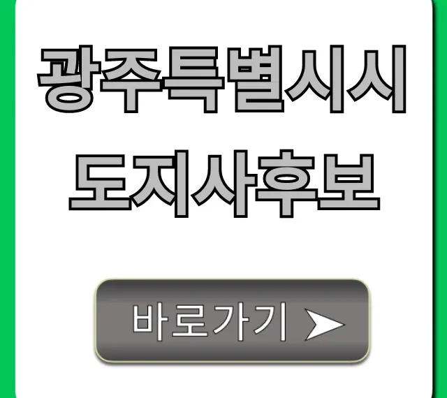 광주특별시시도지사후보 명단 및 공약 총정리