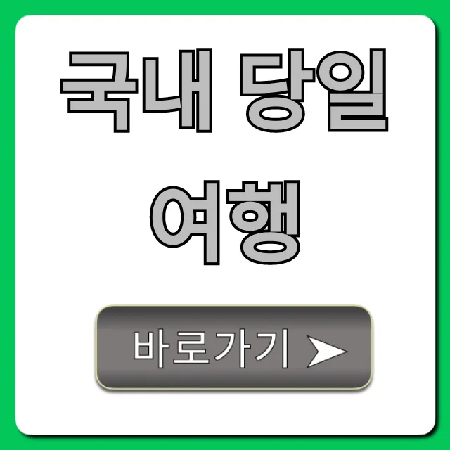 국내 당일여행 BEST 5 추천 코스 꿀팁 국내 당일여행 BEST 5 추천 코스 꿀팁