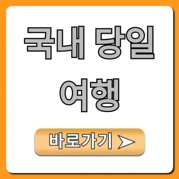 국내 당일여행 BEST! 가성비 꿀팁 총정리