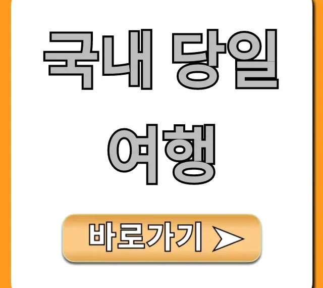국내 당일여행 BEST! 가성비 꿀팁 총정리