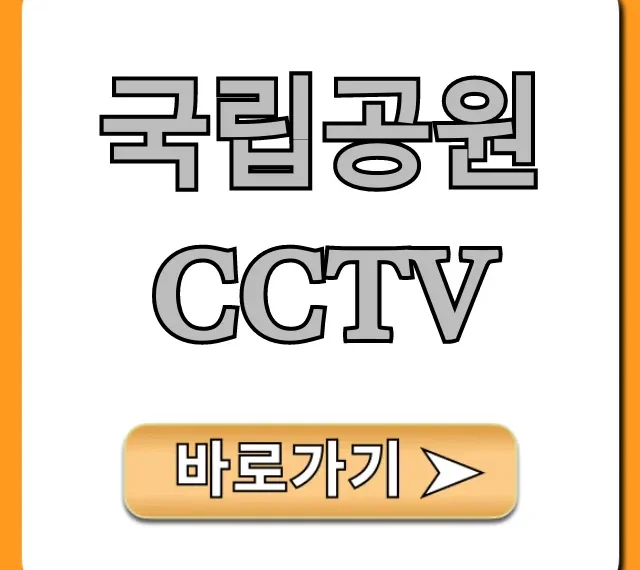 국립공원 CCTV 실시간 조회 및 꿀팁 총정리