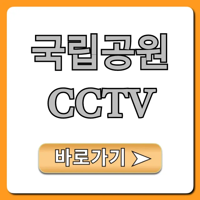 국립공원 CCTV 실시간 조회 및 꿀팁 총정리 국립공원 CCTV 실시간 조회 및 꿀팁 총정리