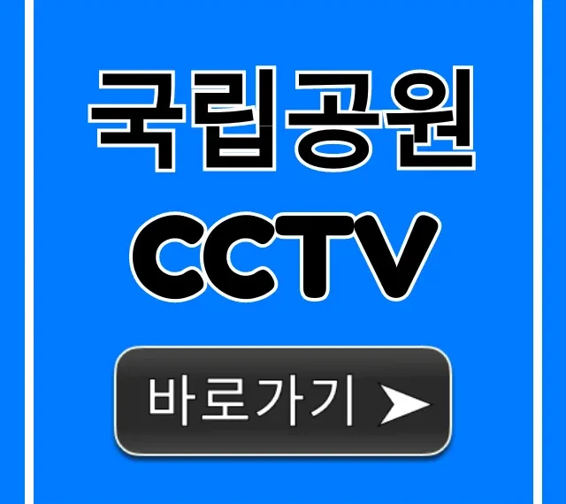 국립공원 CCTV 실시간 현장 날씨 확인 꿀팁 국립공원 CCTV 실시간 현장 날씨 확인 꿀팁
