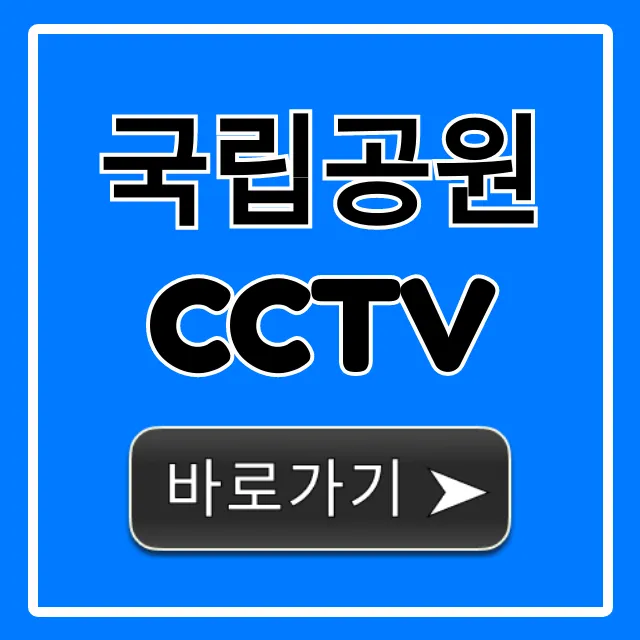 국립공원 CCTV 실시간 현장 날씨 확인 꿀팁