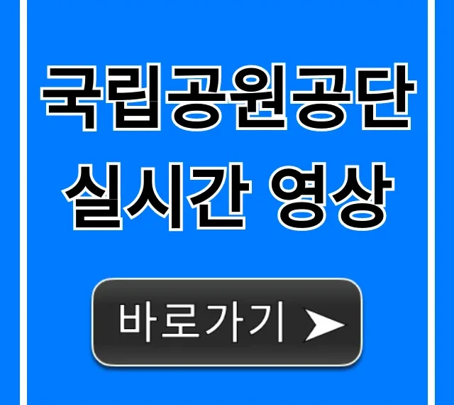 국립공원공단 실시간 영상: 날씨 현황 즉시 확인 국립공원공단 실시간 영상: 날씨 현황 즉시 확인