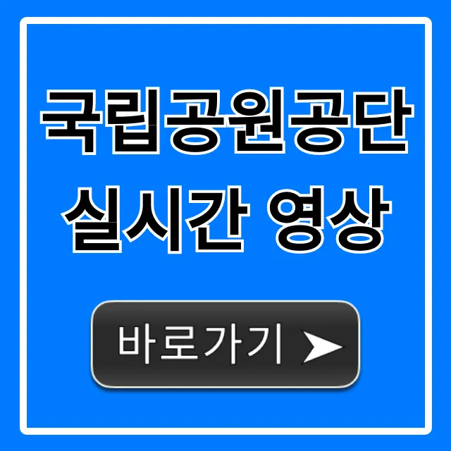 국립공원공단 실시간 영상: 날씨 현황 즉시 확인