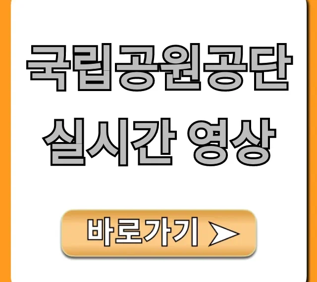 국립공원공단 실시간 영상, 전국 국립공원 실시간 조회 국립공원공단 실시간 영상, 전국 국립공원 실시간 조회