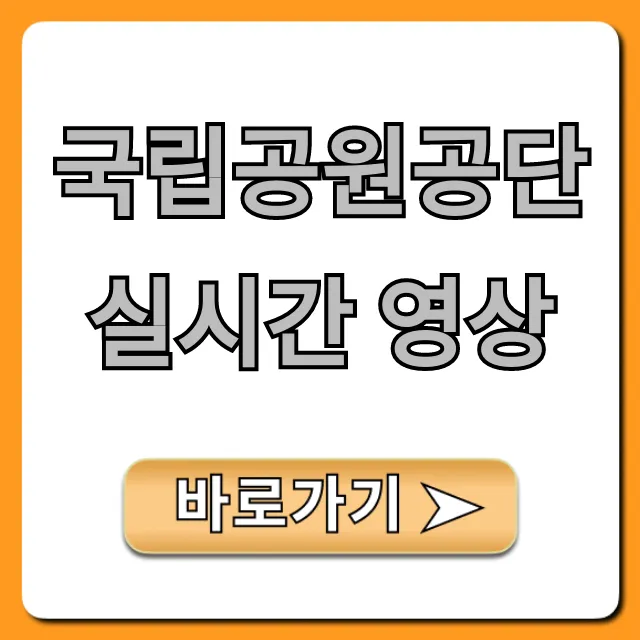 국립공원공단 실시간 영상, 전국 국립공원 실시간 조회