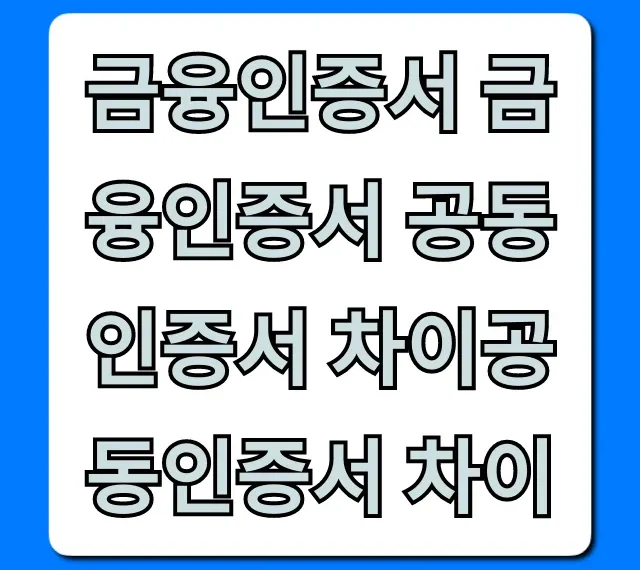 금융인증서 금융인증서 공동인증서 차이공동인증서 차이 완벽 가이드