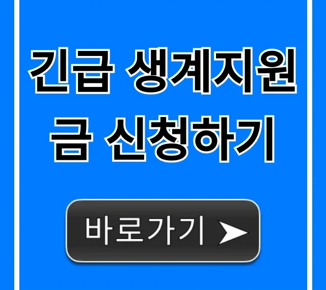 긴급 생계지원금 신청하기: 자격 및 방법 완벽 가이드