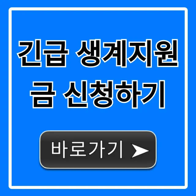 긴급 생계지원금 신청하기: 자격 및 방법 완벽 가이드