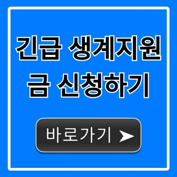 긴급 생계지원금 신청하기 자격 조건 총정리