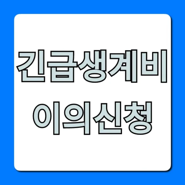 긴급생계비 이의신청: 탈락자 필독! 재신청 꿀팁 총정리