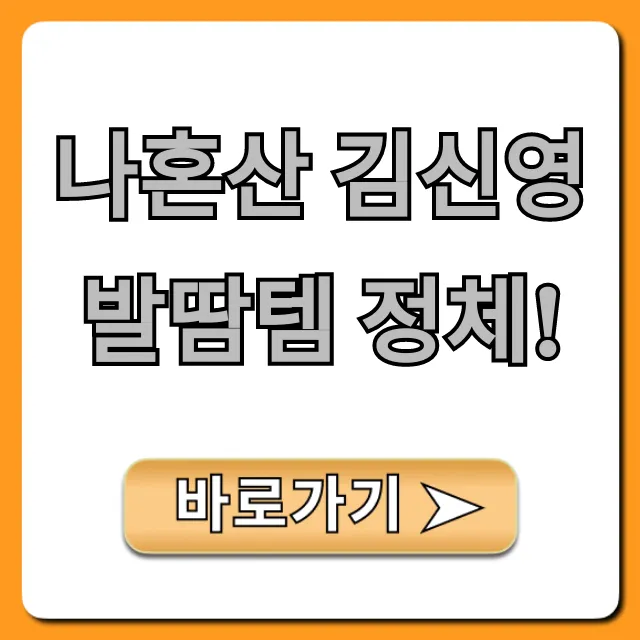 나혼산 김신영 발땀템 정체! 효과 가격 총정리