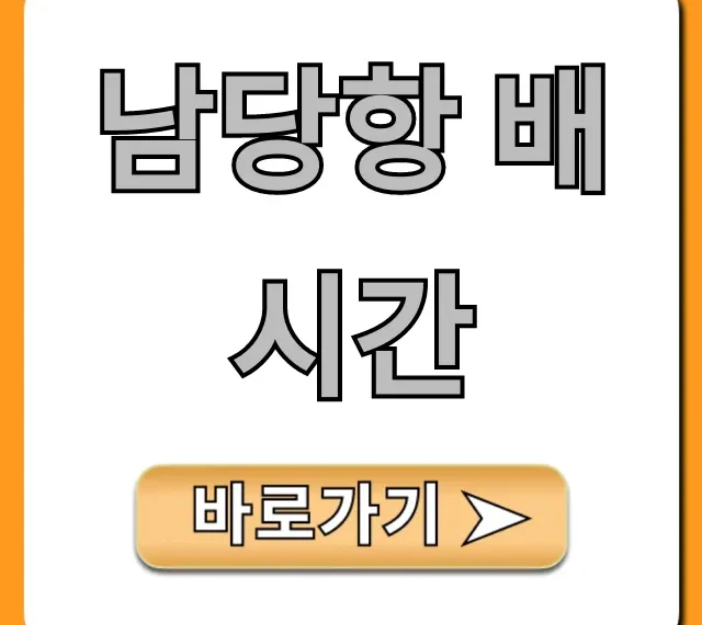 남당항 배시간 조회! 최신 운항 시간표 완벽 정리