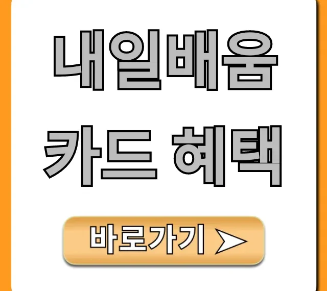 내일배움카드 혜택 총정리: 국비지원 완벽 가이드