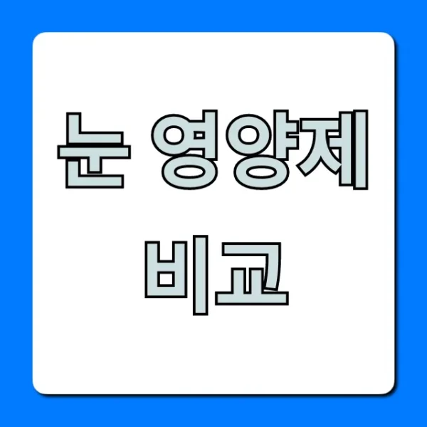 눈 영양제 비교 BEST 5 | 성분, 가격 총정리