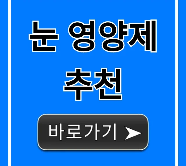 눈 영양제 추천, 내돈내산 TOP7 솔직 총정리