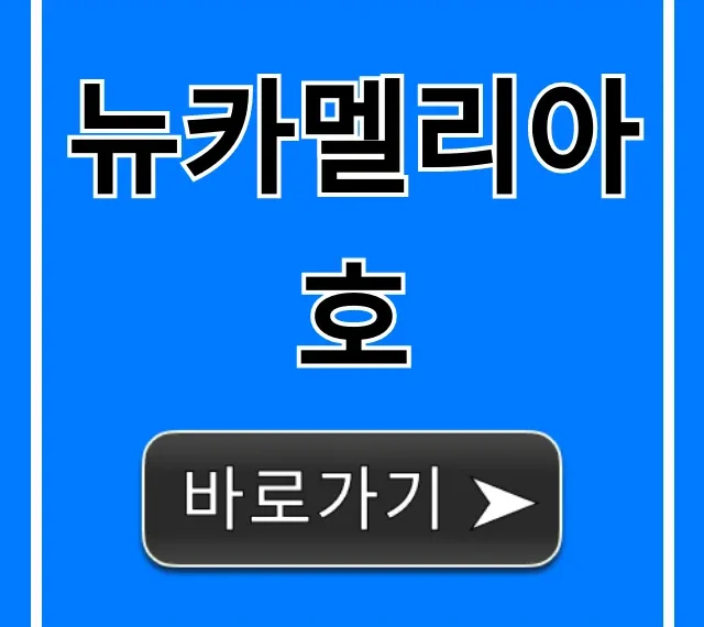 뉴카멜리아호 가격 예약 총정리 꿀팁