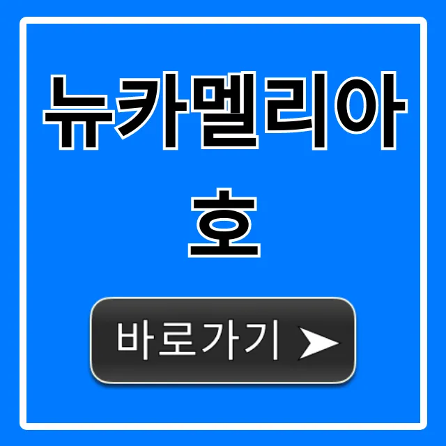 뉴카멜리아호 가격 예약 총정리 꿀팁