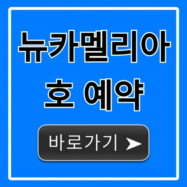 뉴카멜리아호 예약 가격, 방법, 시간표 완벽정리