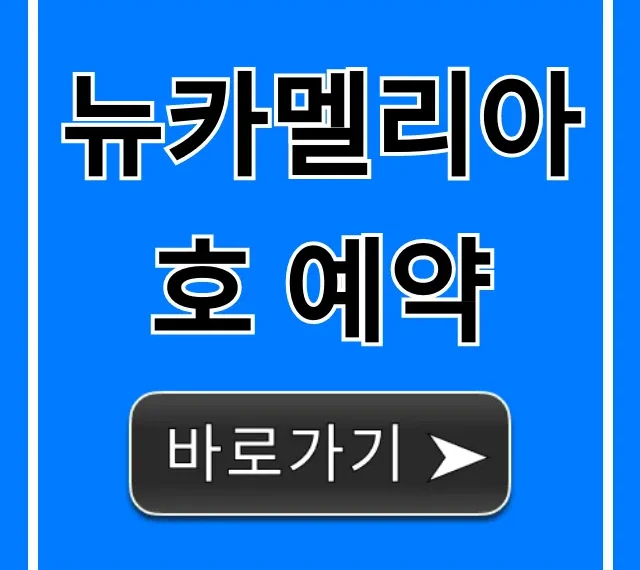 뉴카멜리아호 예약 가격, 방법, 시간표 완벽정리