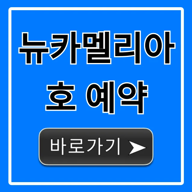 뉴카멜리아호 예약 가격, 방법, 시간표 완벽정리