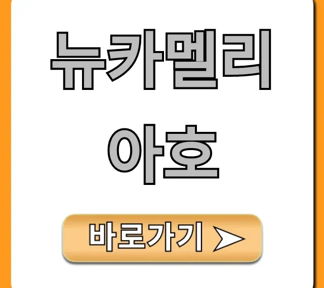 뉴카멜리아호 예약 가격 시간표 총정리