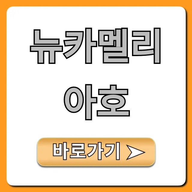 뉴카멜리아호 예약 가격 시간표 총정리 뉴카멜리아호 예약 가격 시간표 총정리
