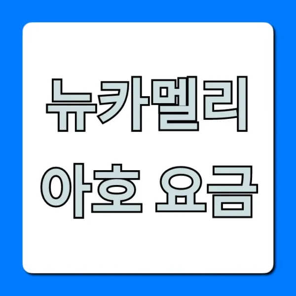 뉴카멜리아호 요금: 부산 후쿠오카 최신 할인 꿀팁