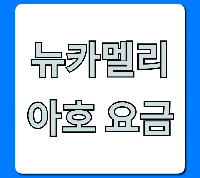 뉴카멜리아호 요금: 부산 후쿠오카 최신 할인 꿀팁 뉴카멜리아호 요금: 부산 후쿠오카 최신 할인 꿀팁