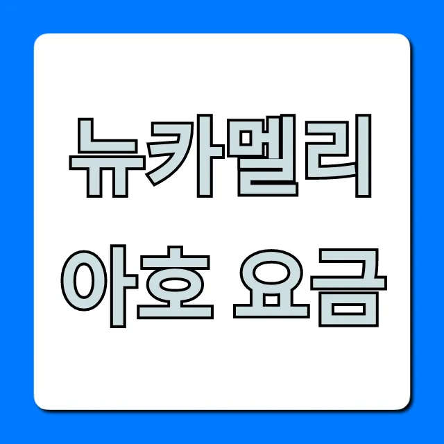 뉴카멜리아호 요금: 부산 후쿠오카 최신 할인 꿀팁