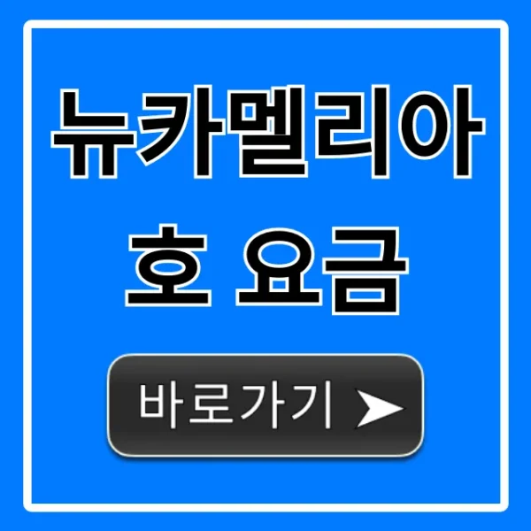 뉴카멜리아호 요금 조회부터 예약 꿀팁까지