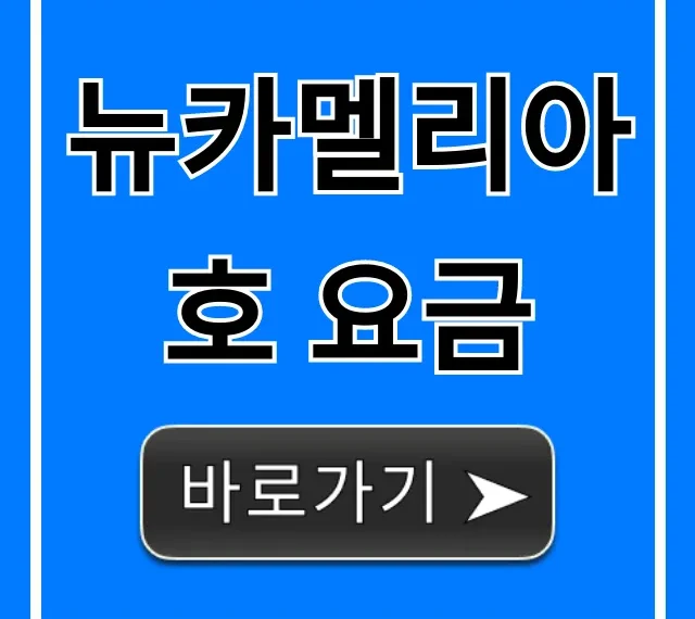 뉴카멜리아호 요금 조회부터 예약 꿀팁까지