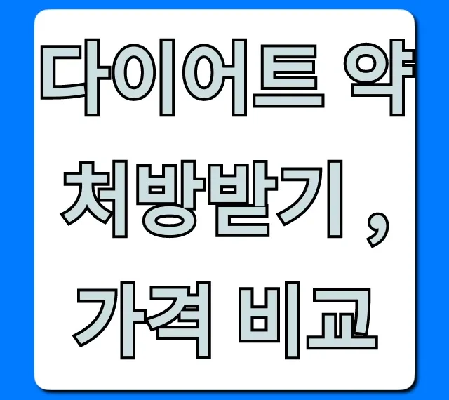 다이어트 약 처방받기 가격 비교: 최저가 병원 총정리