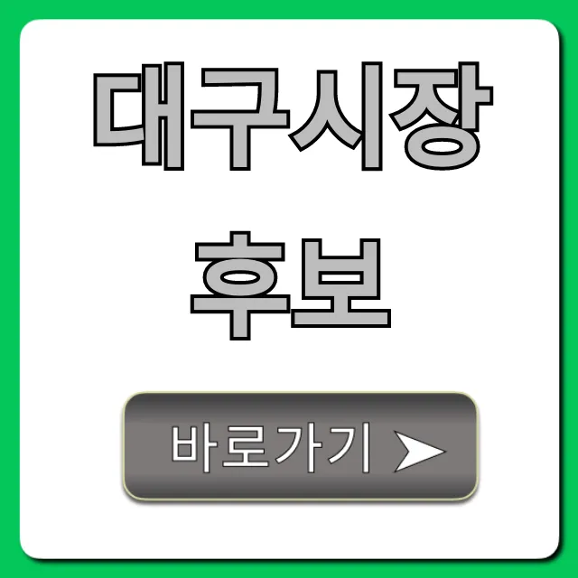 대구시장 후보, 누구? 공약 핵심만 총정리 대구시장 후보, 누구? 공약 핵심만 총정리