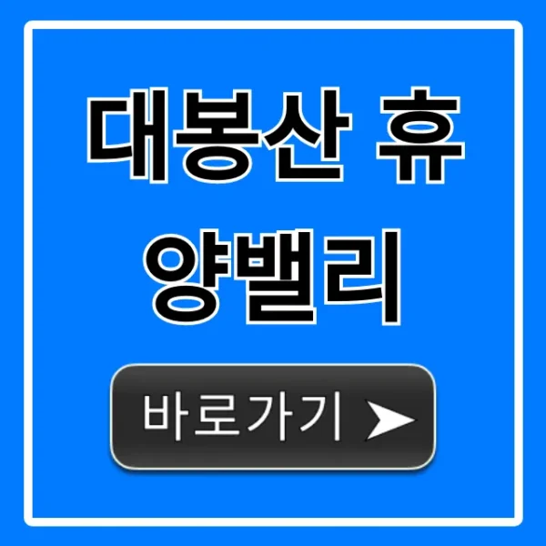 대봉산 휴양밸리 예약, 가격, 코스 총정리