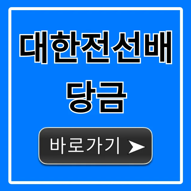 대한전선배당금 2024년 지급일, 조회 완벽 가이드 대한전선배당금 2024년 지급일, 조회 완벽 가이드