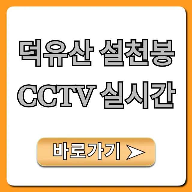 덕유산 설천봉 CCTV 실시간: 날씨 곤돌라 현황 덕유산 설천봉 CCTV 실시간: 날씨 곤돌라 현황